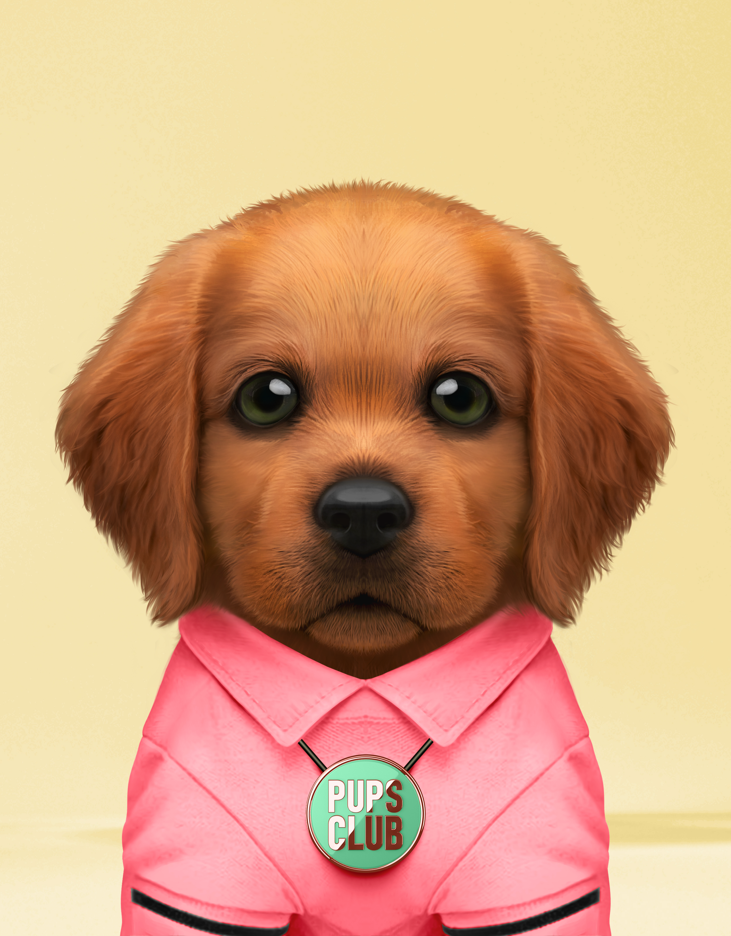 Pup #7483