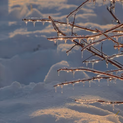 snow