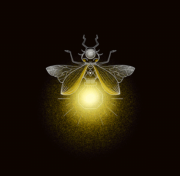 Firefly #497