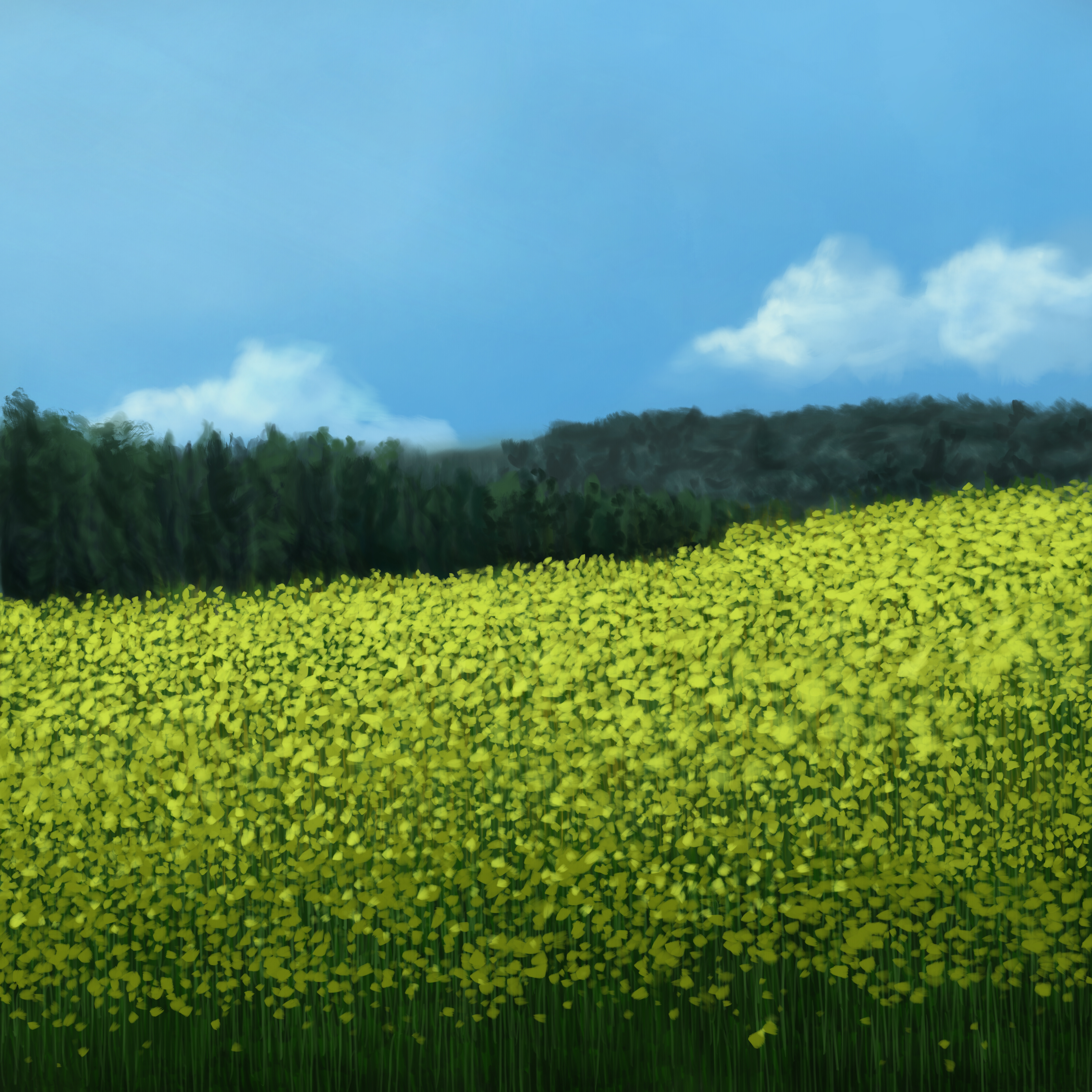 Life Impression 31