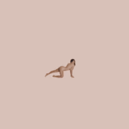 Nude Pixels_006
