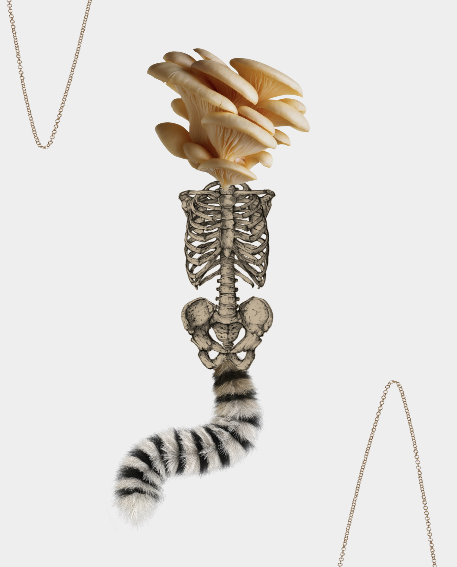 Exquisite Corpse-Ring Tails