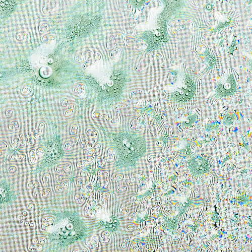 Magnifying Wash.