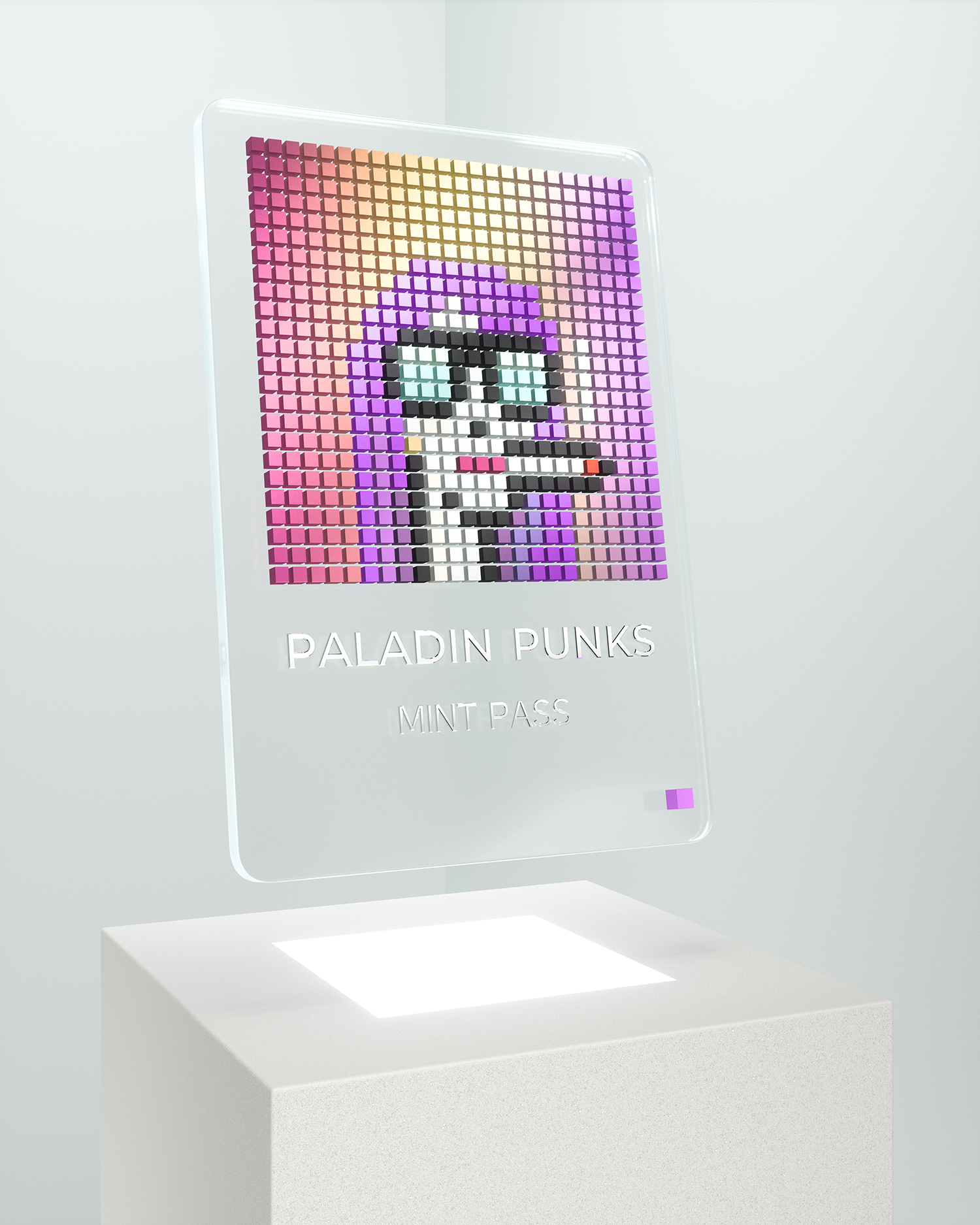PALADIN PUNKS CARD #1