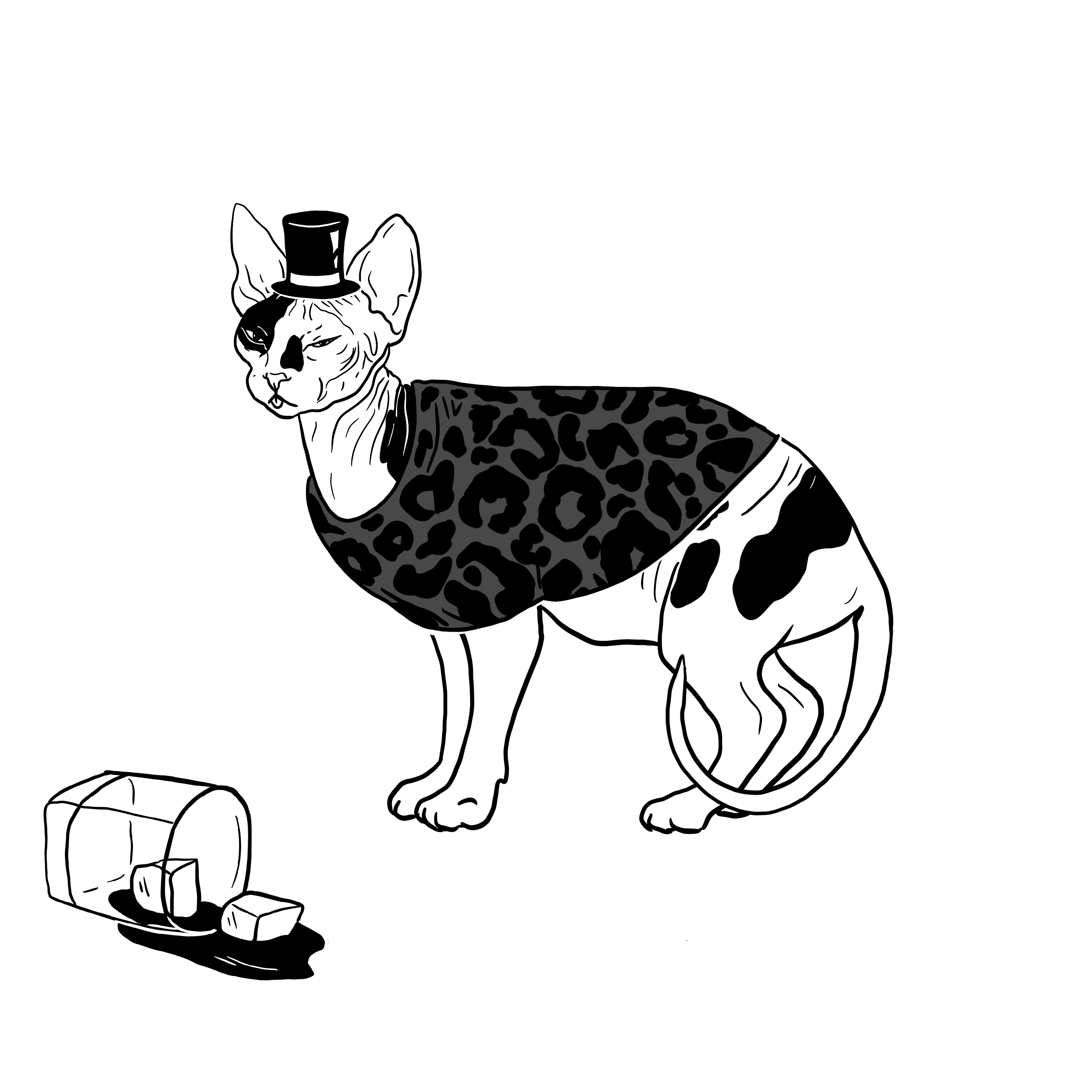 The Sad Cat #2173