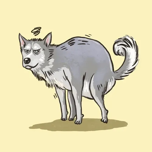 PPPUPU : N#002 Husky