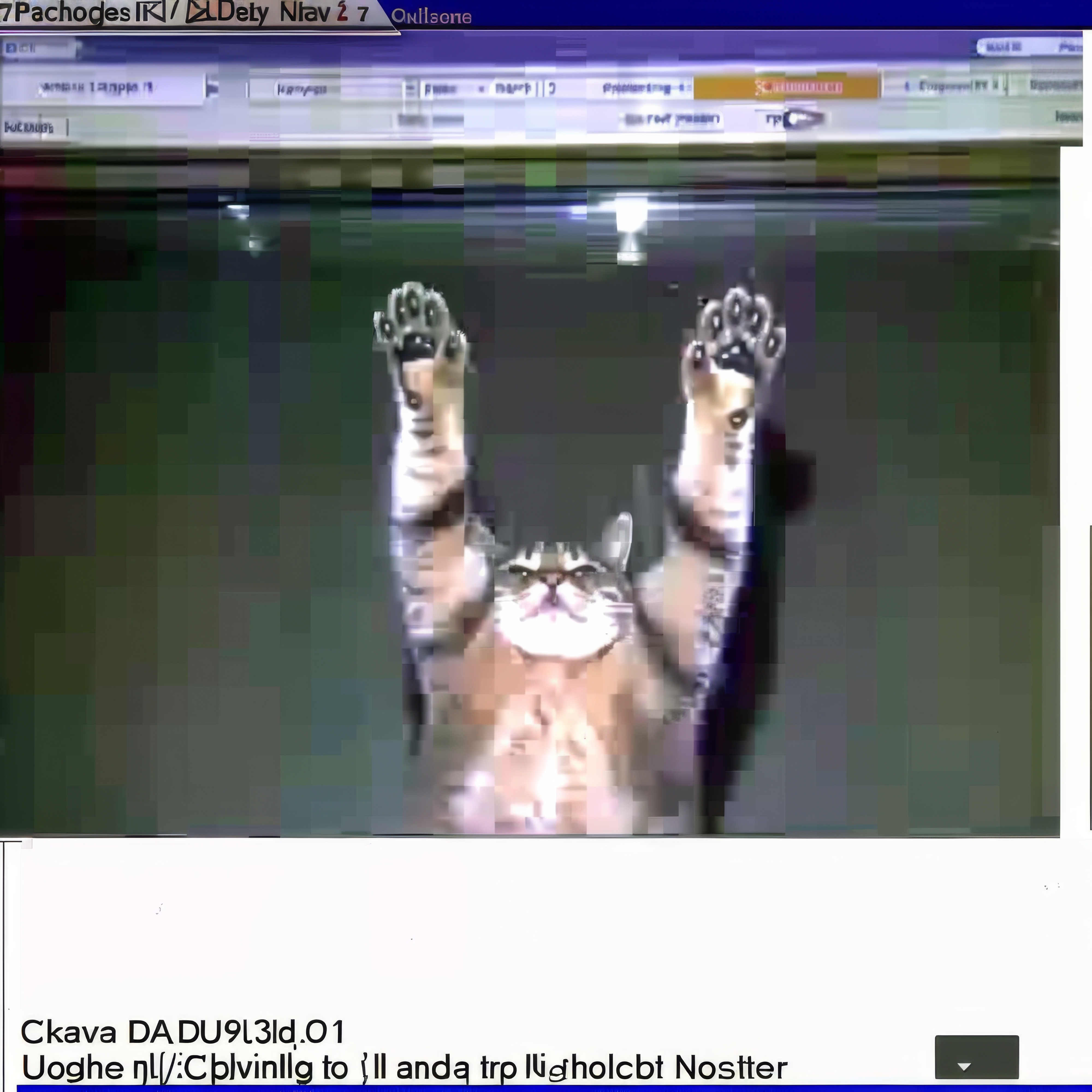 Paw-Me