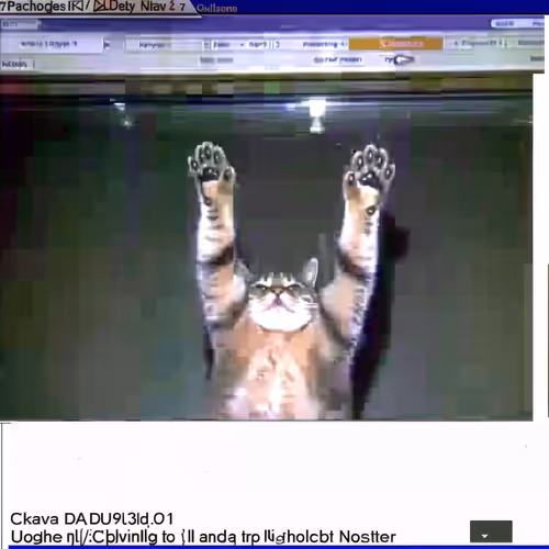 Paw-Me