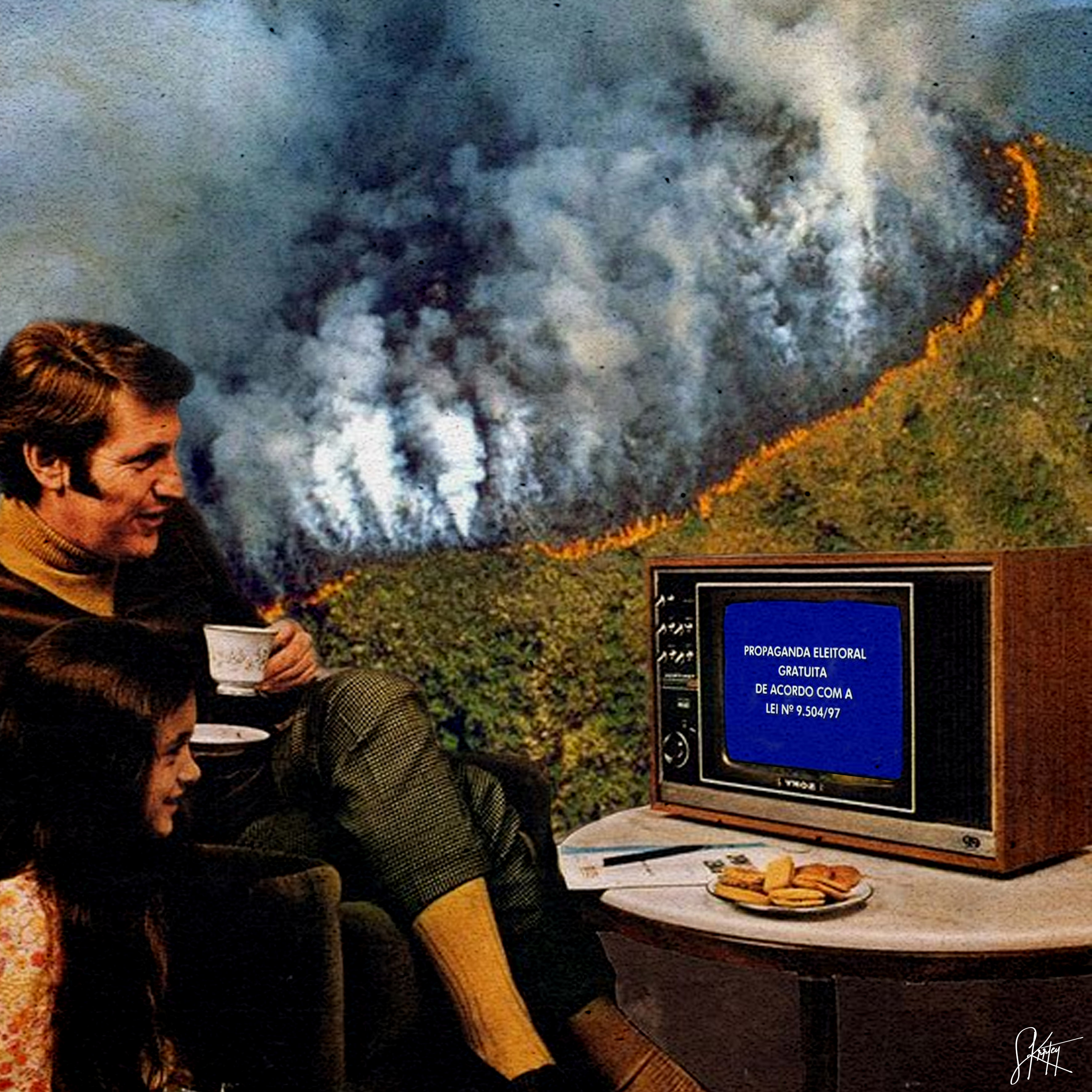 Burned Forest