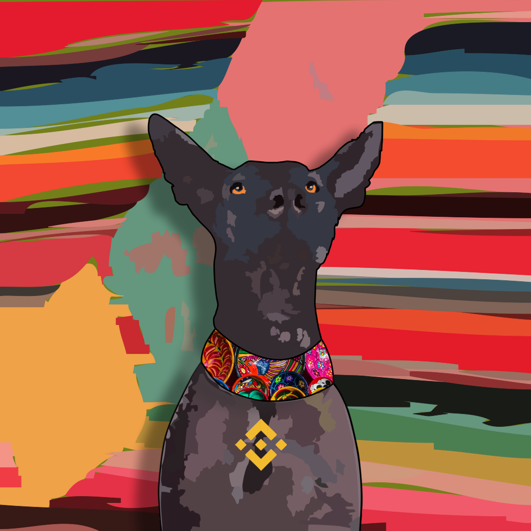 Xolo #784