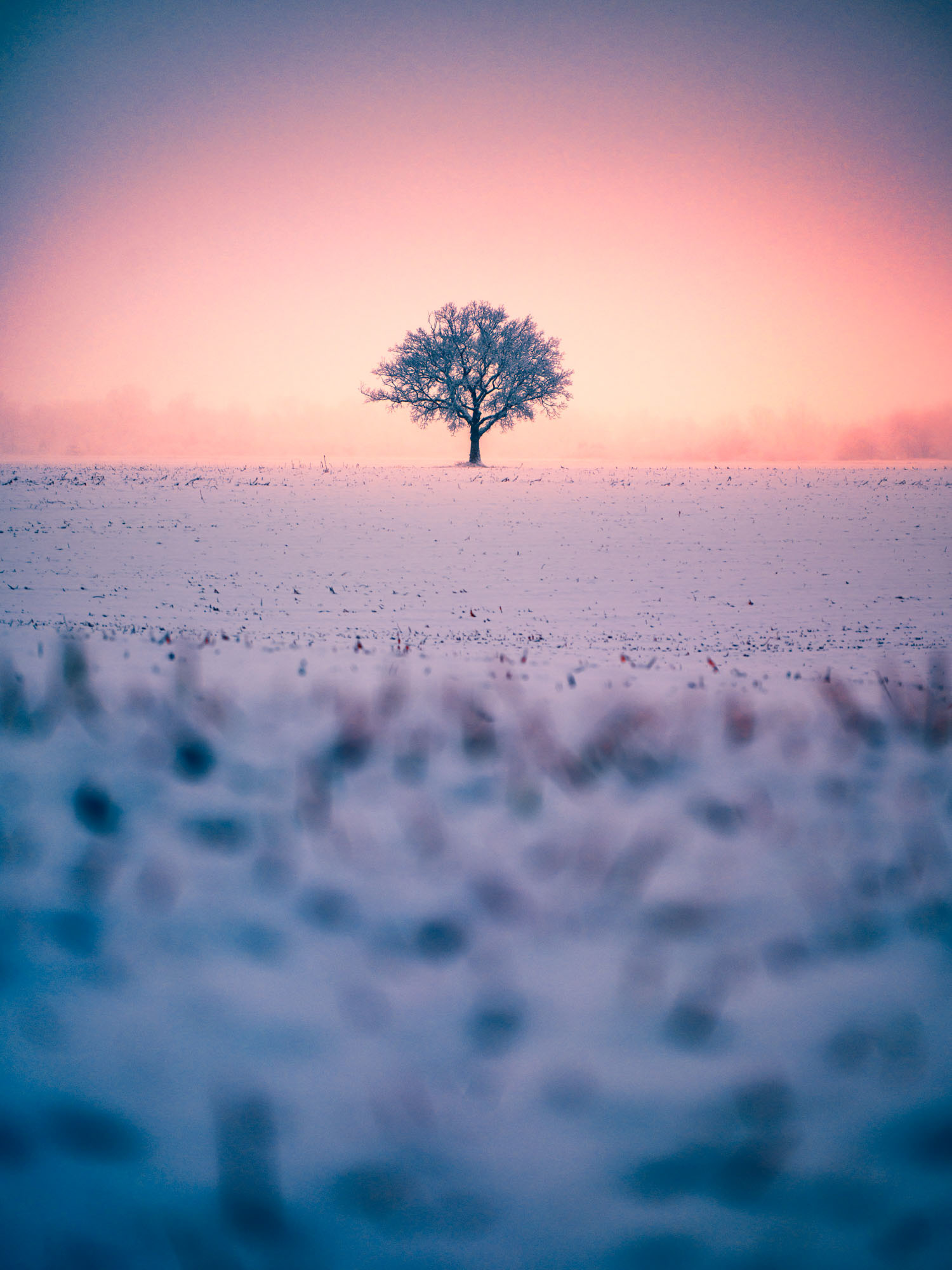 Seasonal #35