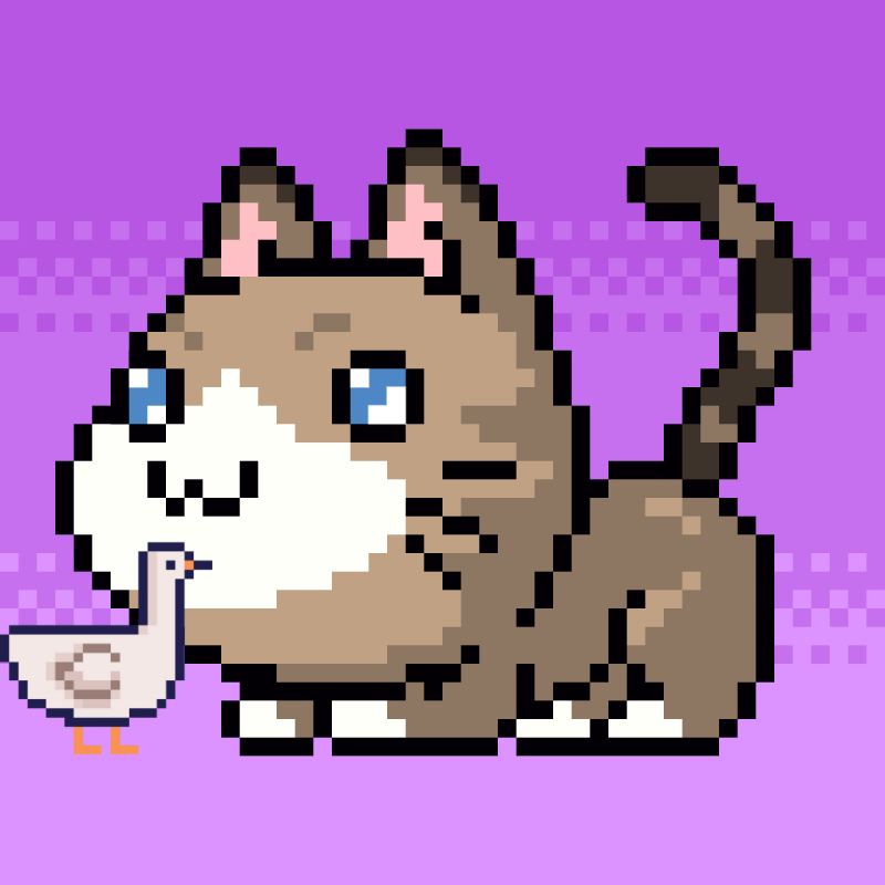 Catxoxo #2212