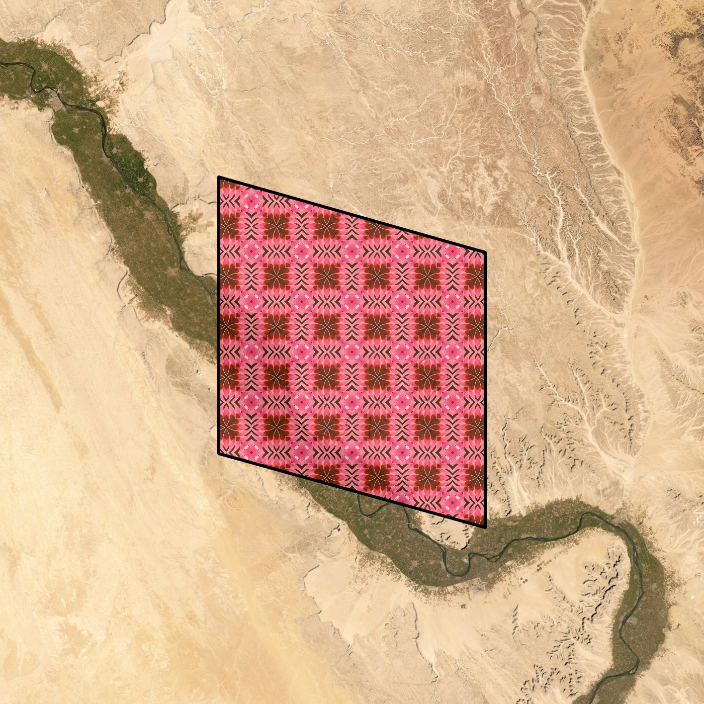Cell #843: Egypt