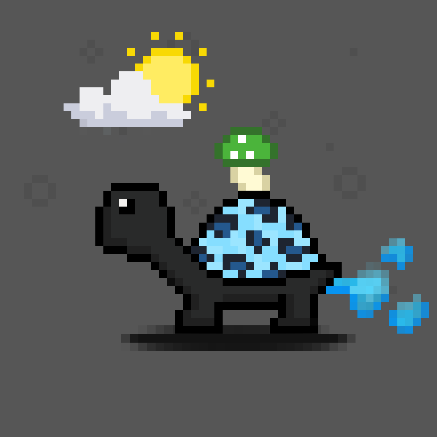 Turtle Moons #4334