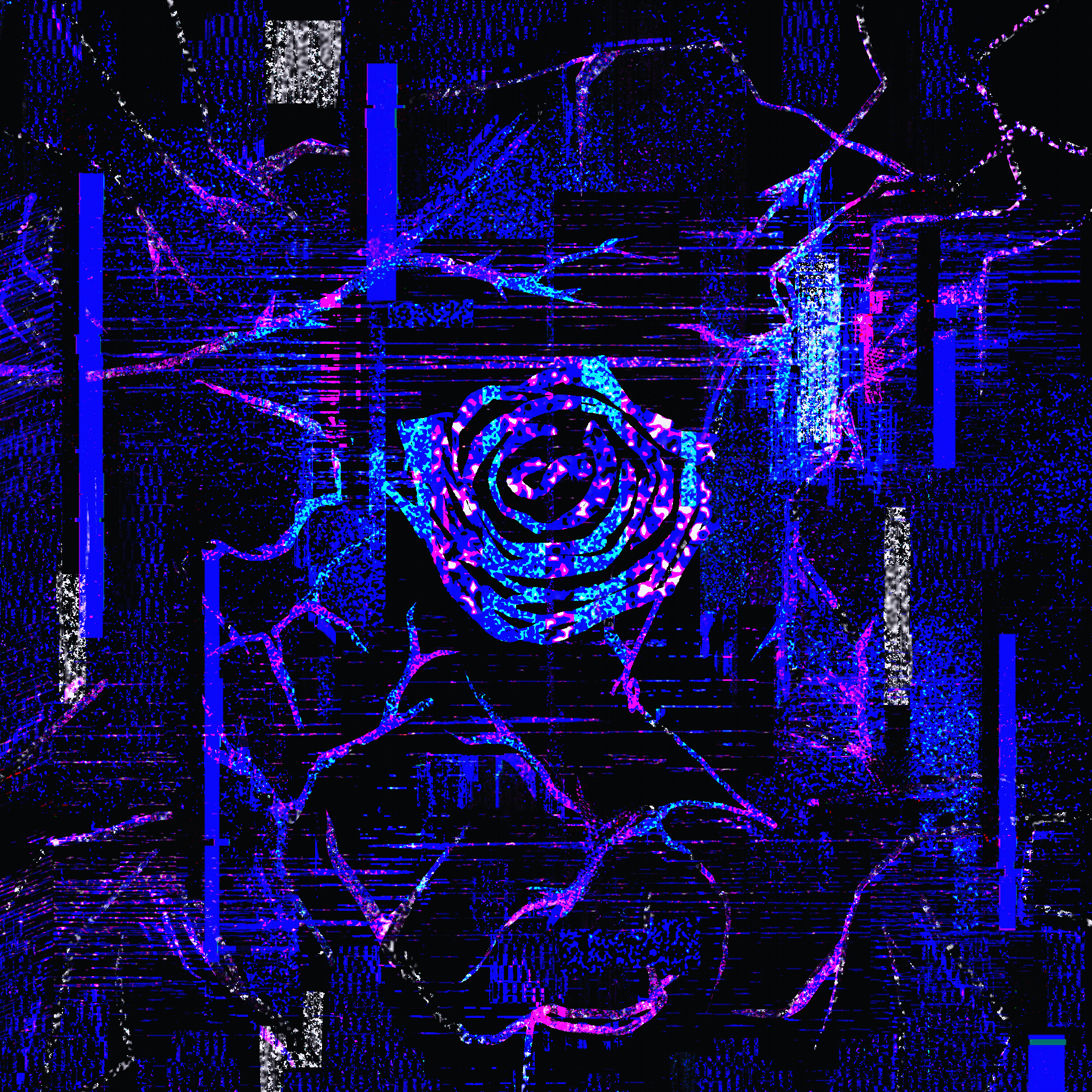 Immortal Rose