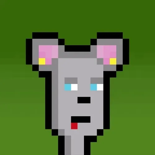Hammie #2672