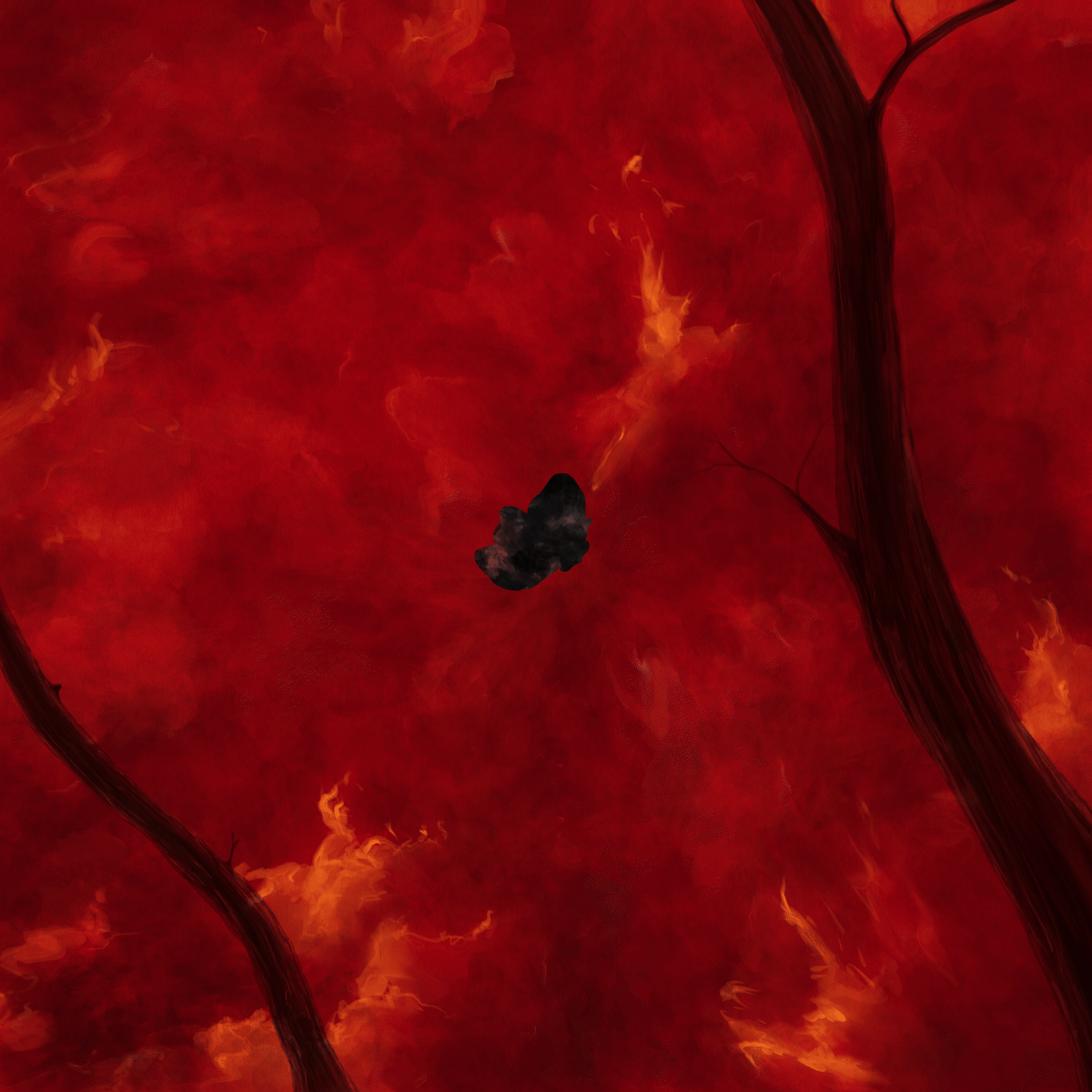 Flutter Into The Embers | Bonnie