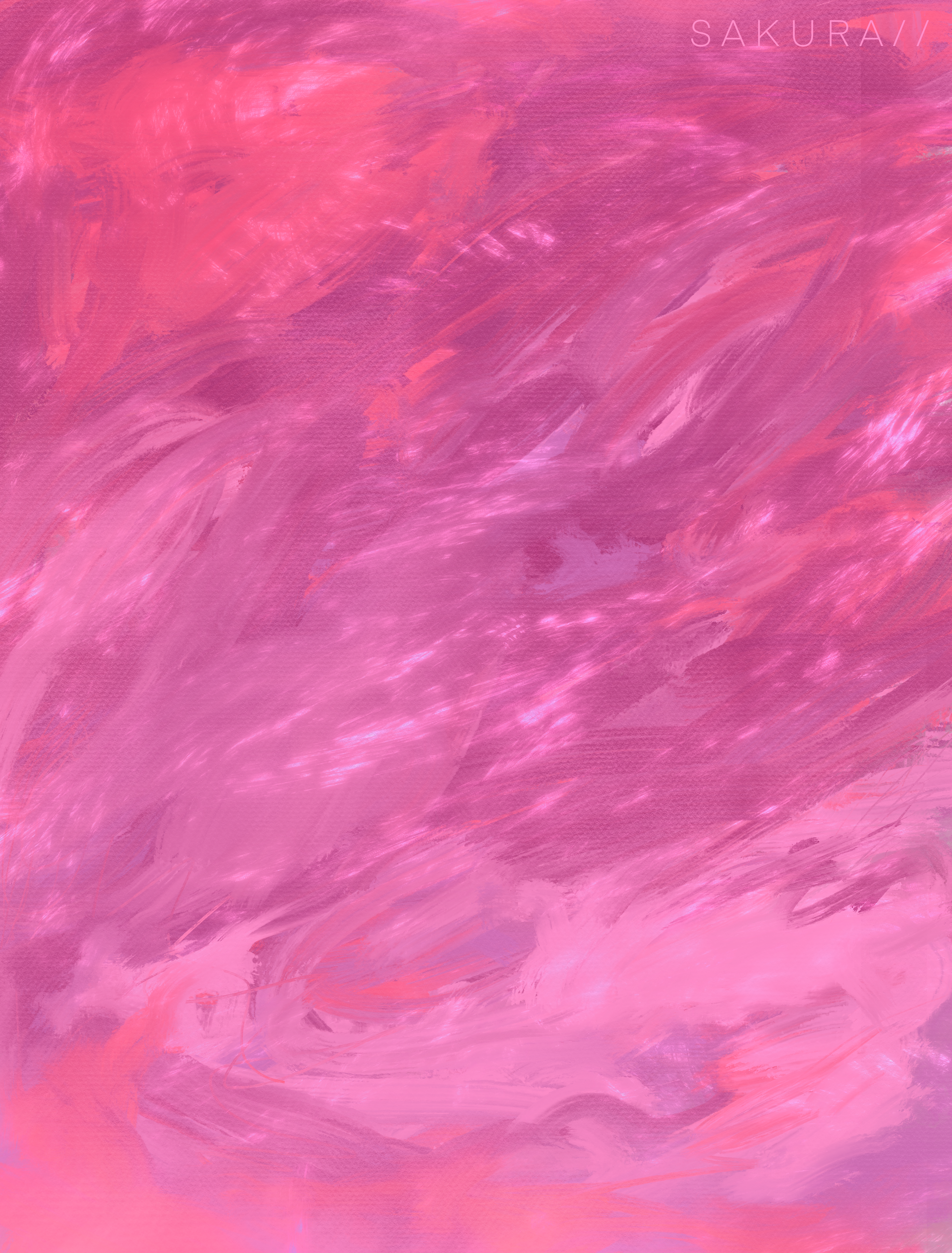 S A K U R A / /
