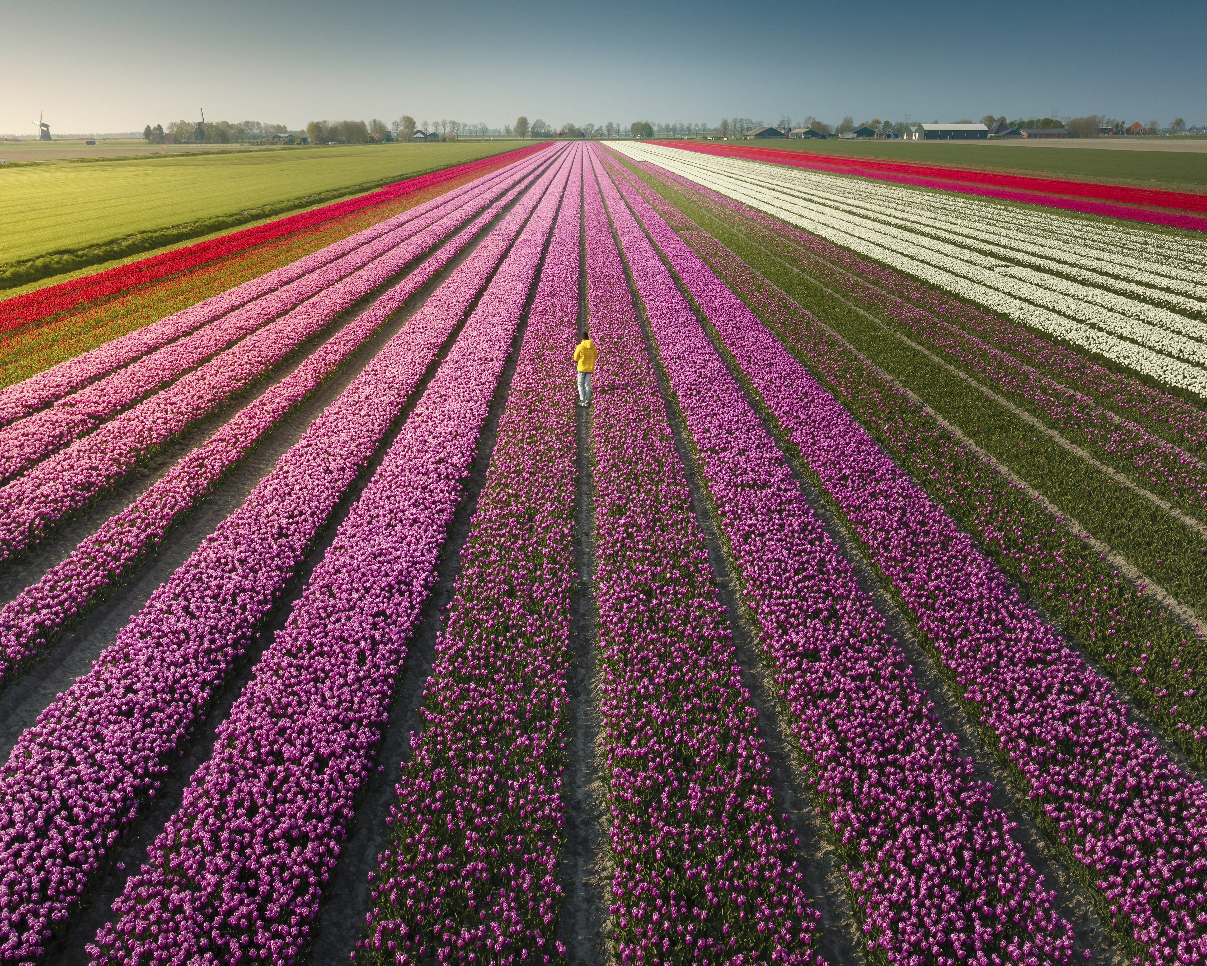 50 Shades of Spring