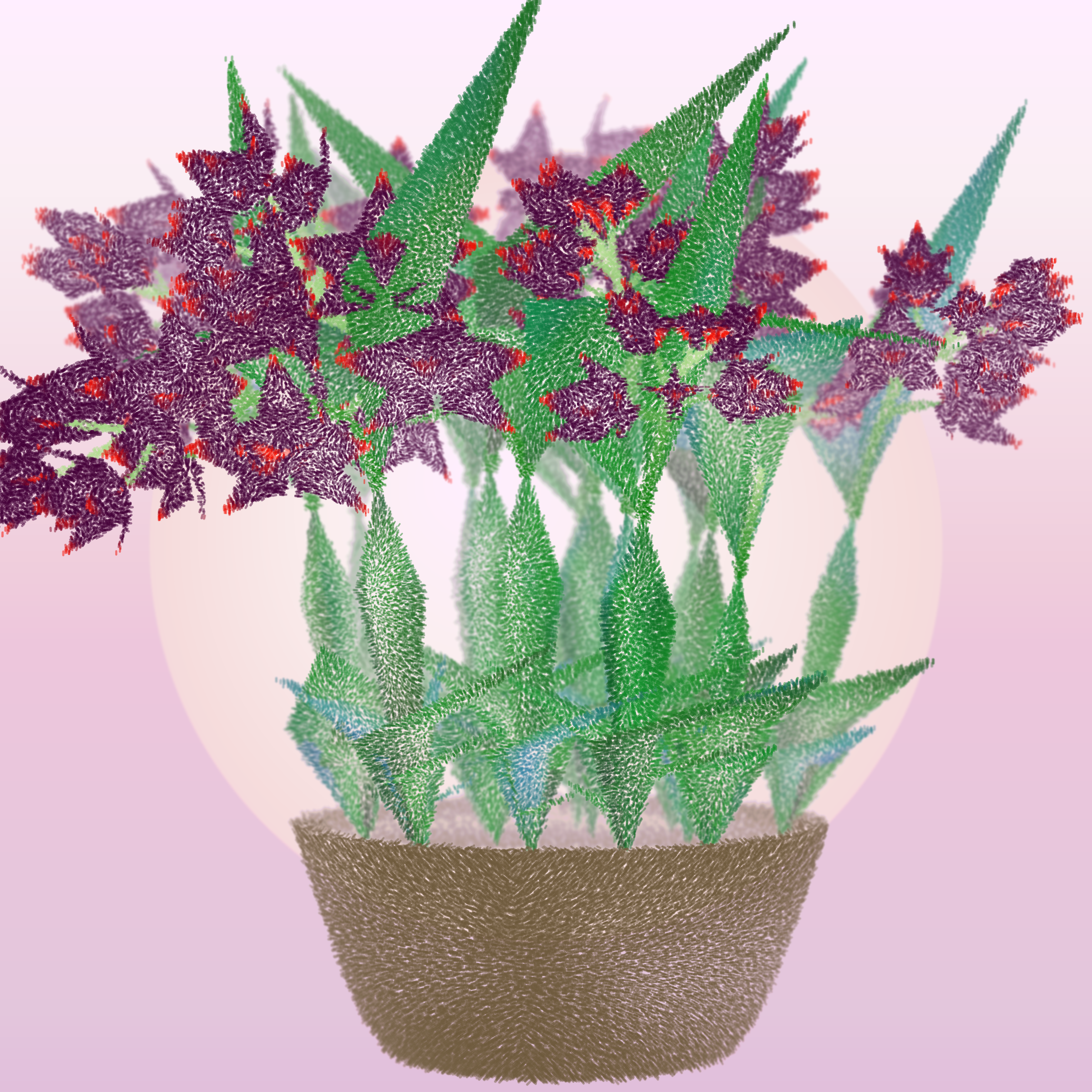 Cattleya #30