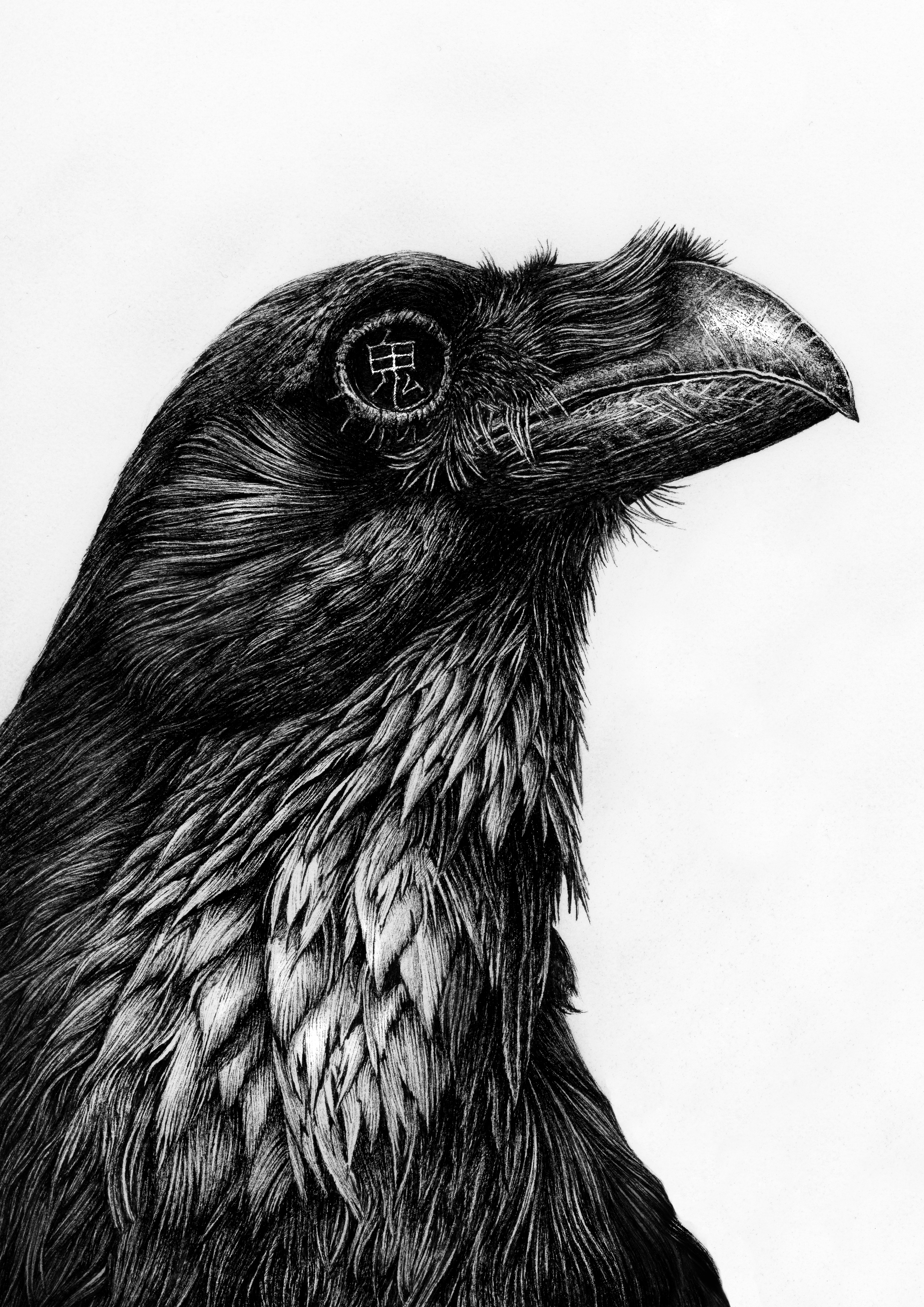 Ghost Raven