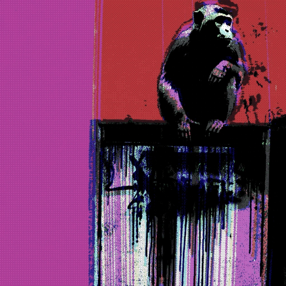 monkey kings