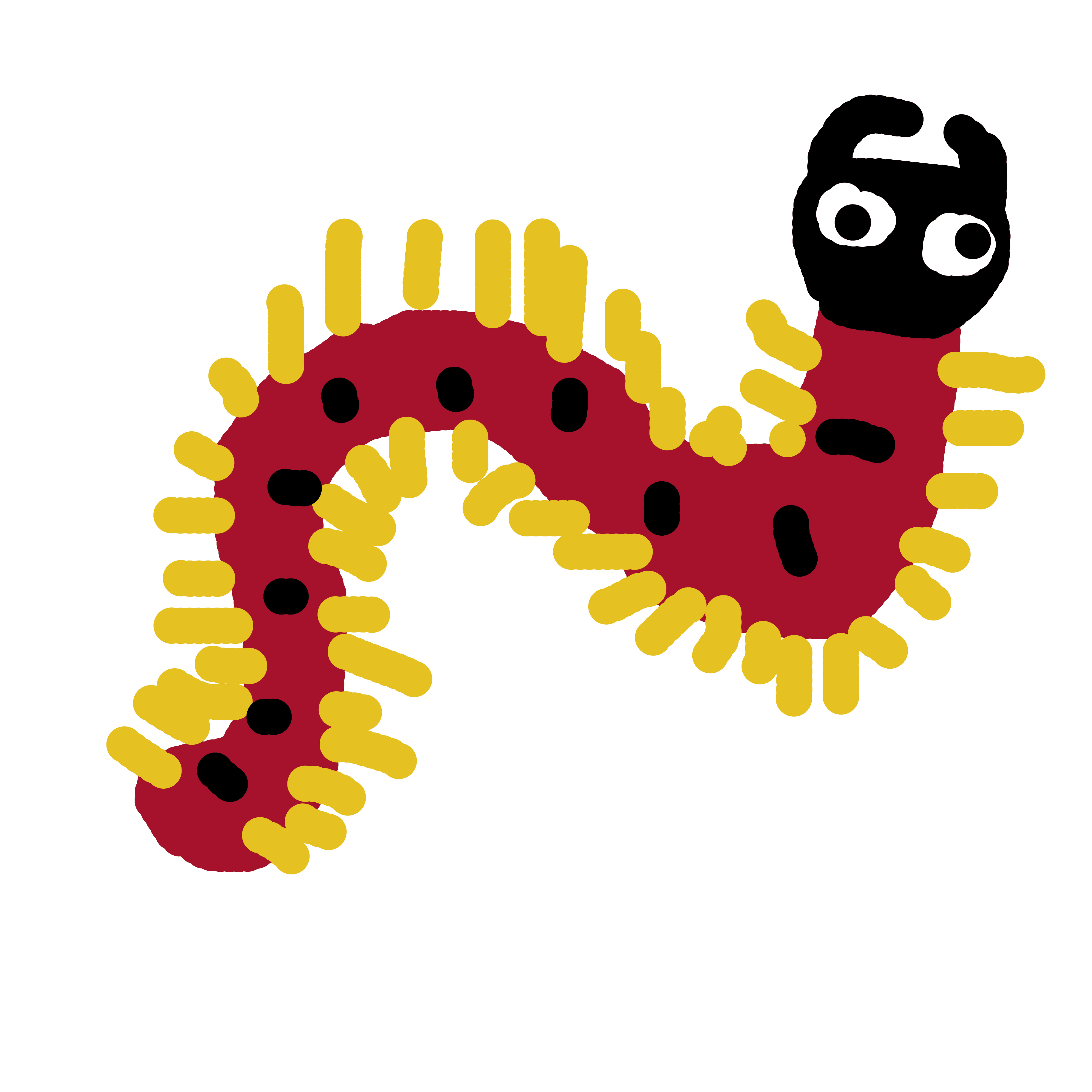 Centipede