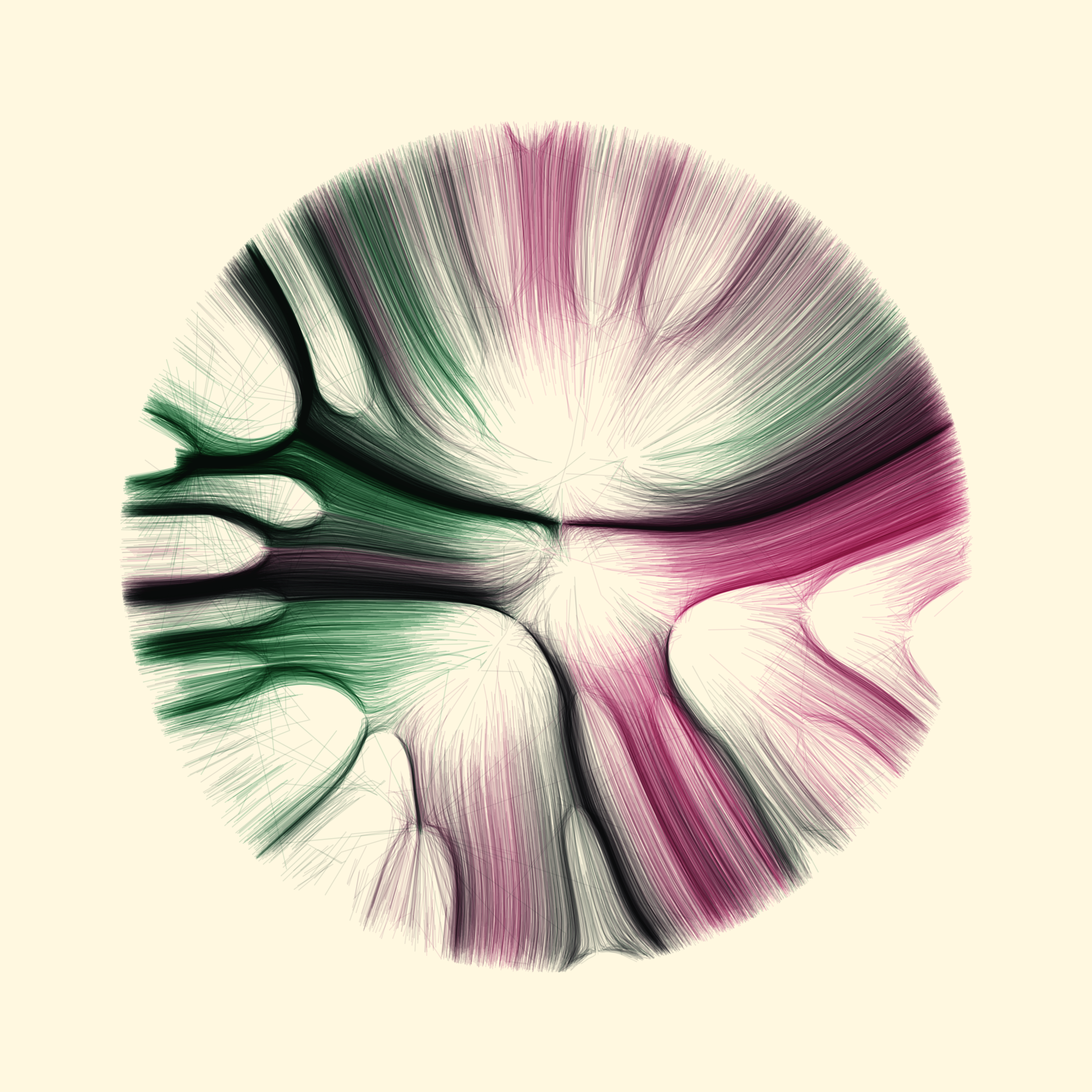 Gravity 12 #238