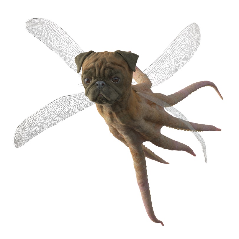 Inverso Mundus, Chimera 2