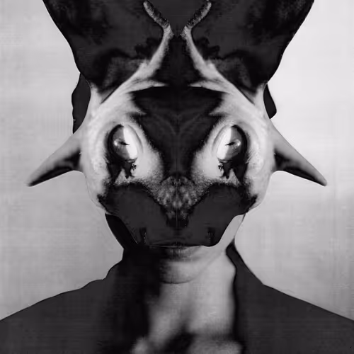 HAIRLESS CAT BAPHOMET (Jesse Draxler) #8/10