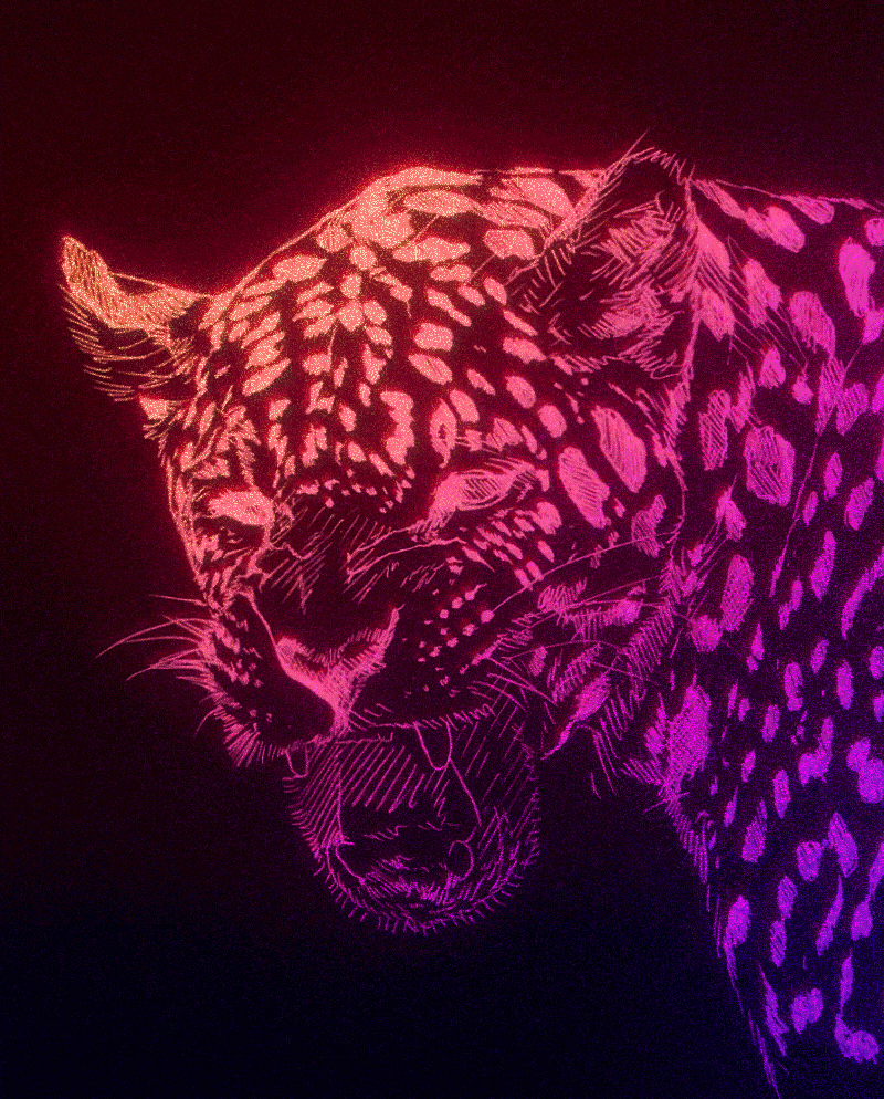 #### ###### #### 75