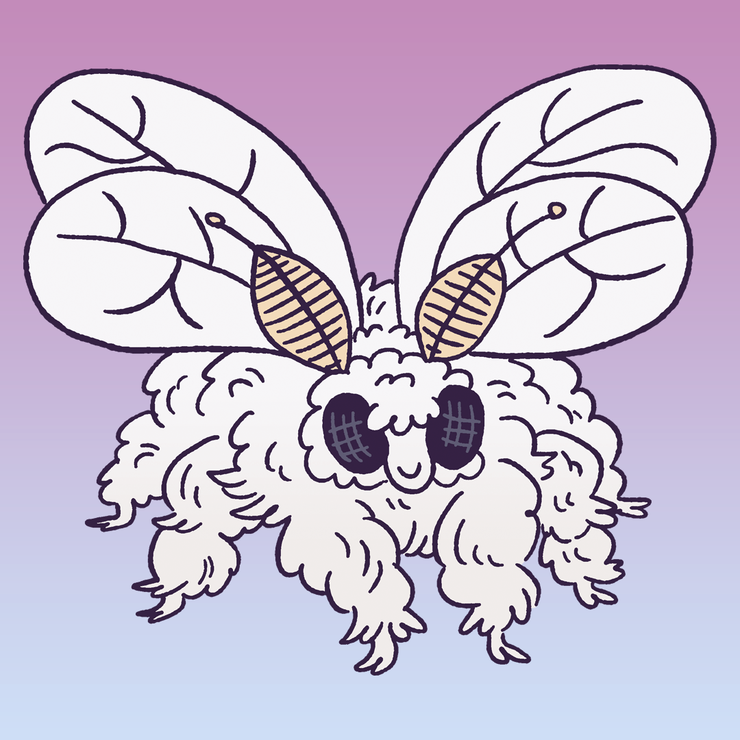 Venezuelan Poodle Moth #2018