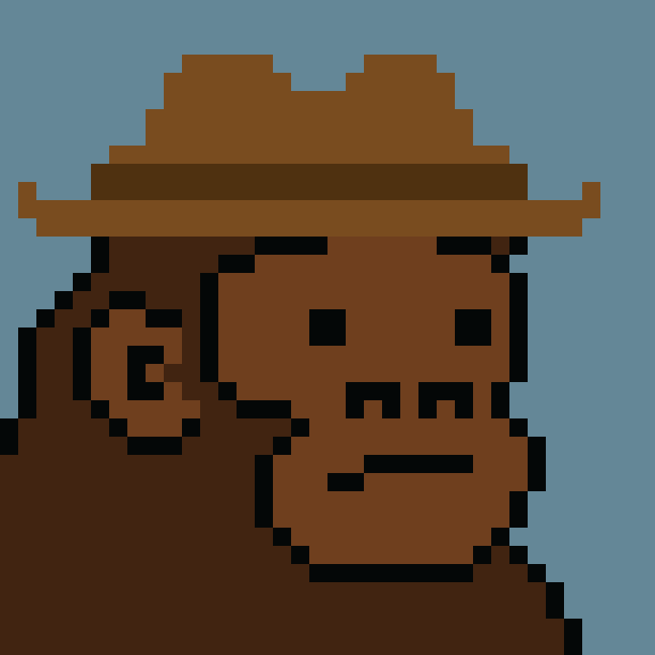 Kong Punk #06935