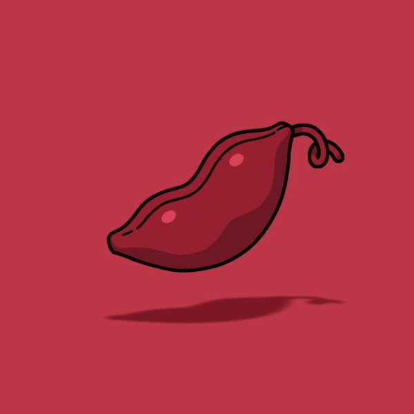 Beanz #4