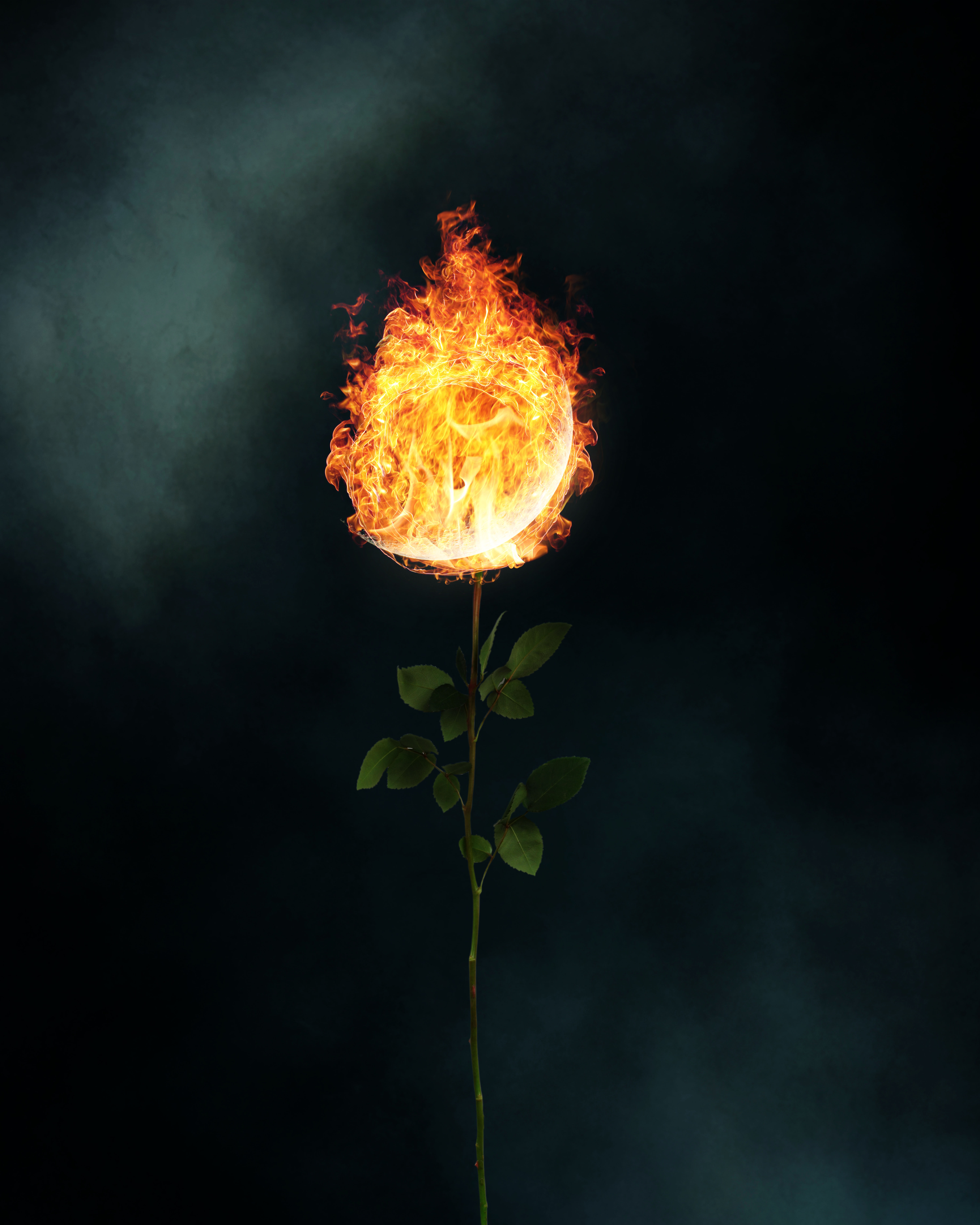 Rebirth III