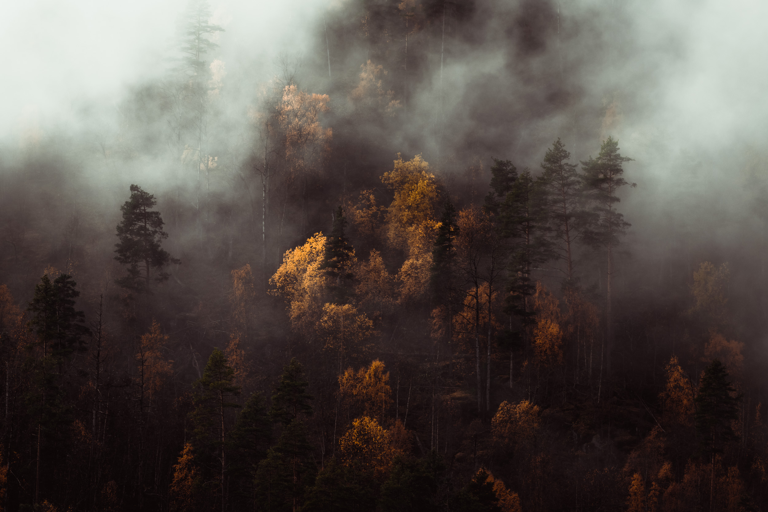 #33 — Fleeting Moments of Autumn