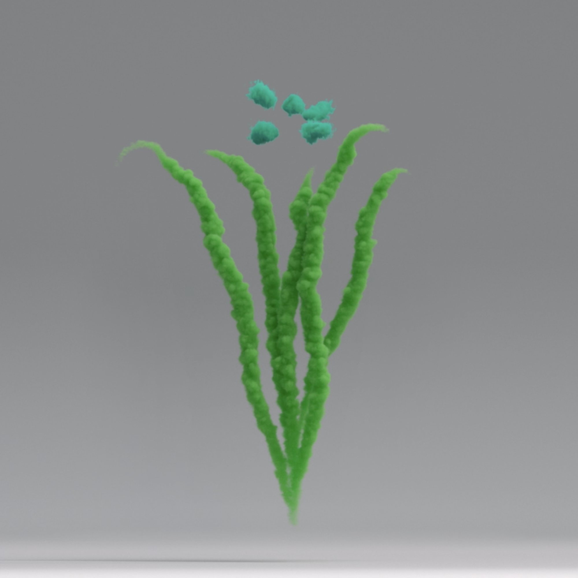 Day 81 #1