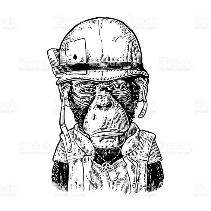 Monkeyking