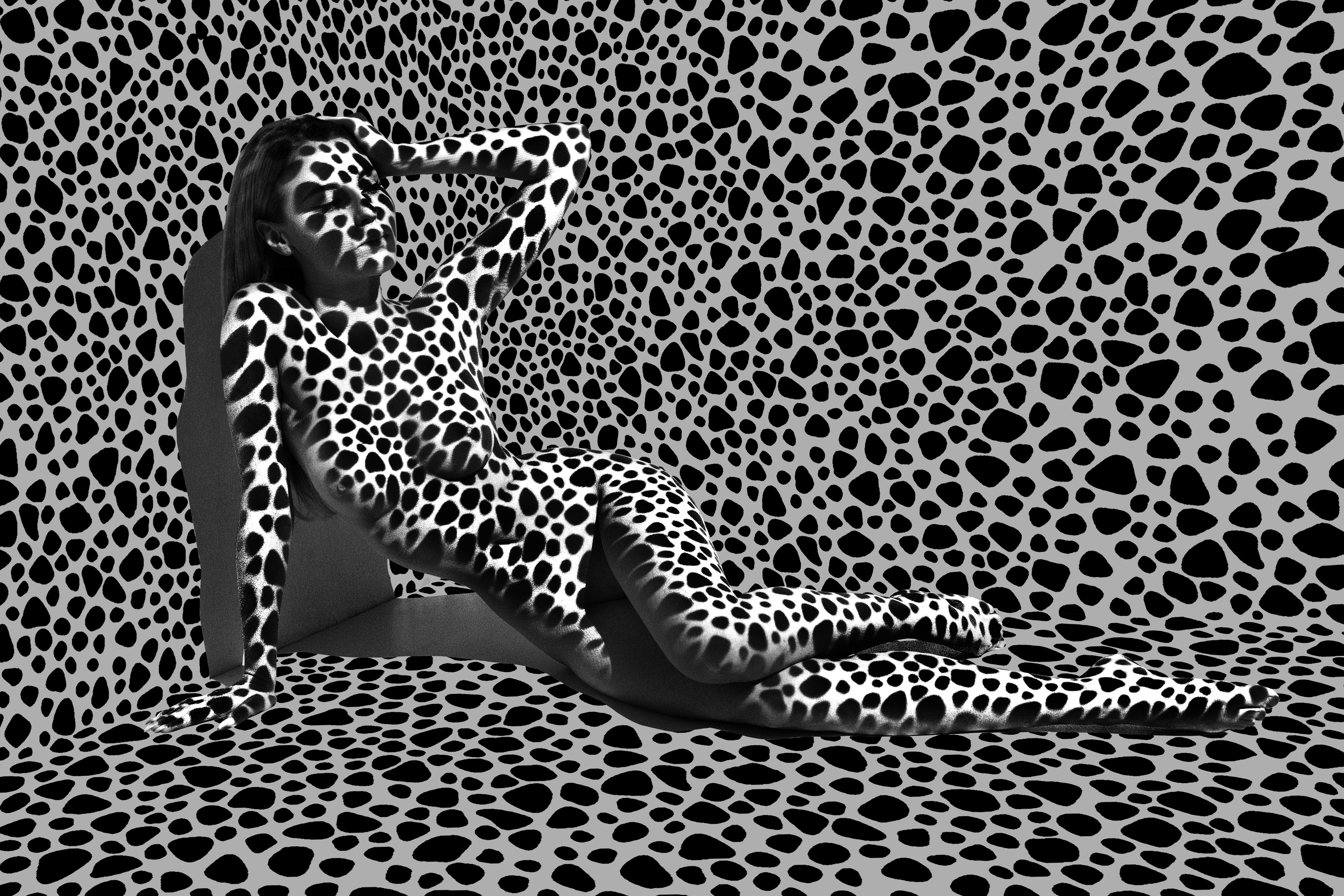 Shadows #64