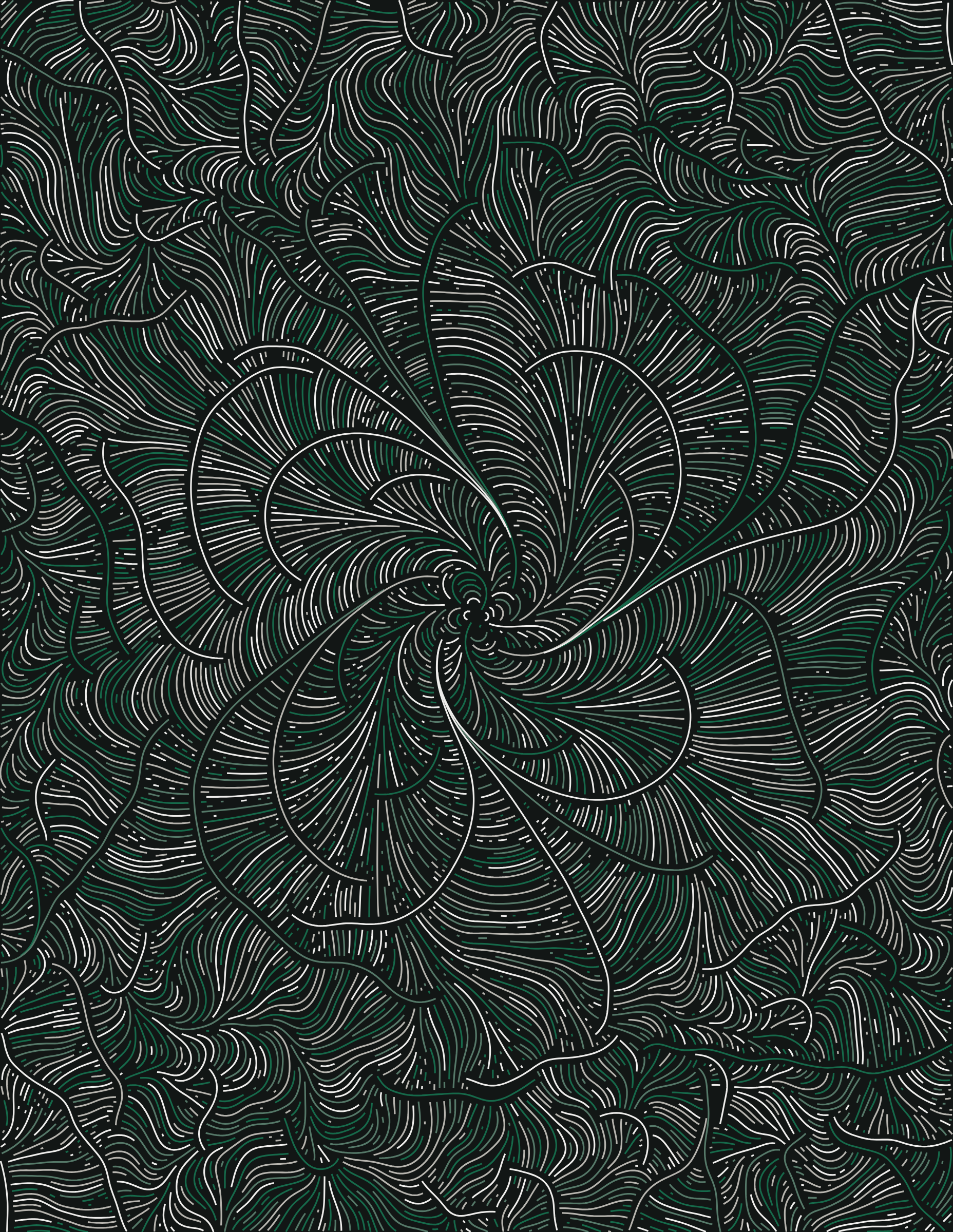 Streamlines #41