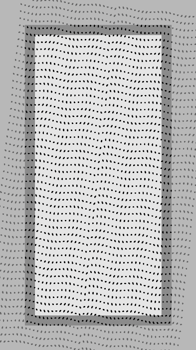 Monochrome Frames #1398