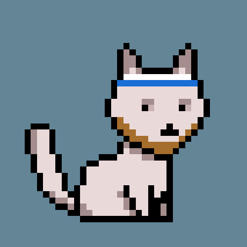 PunkCat #4164