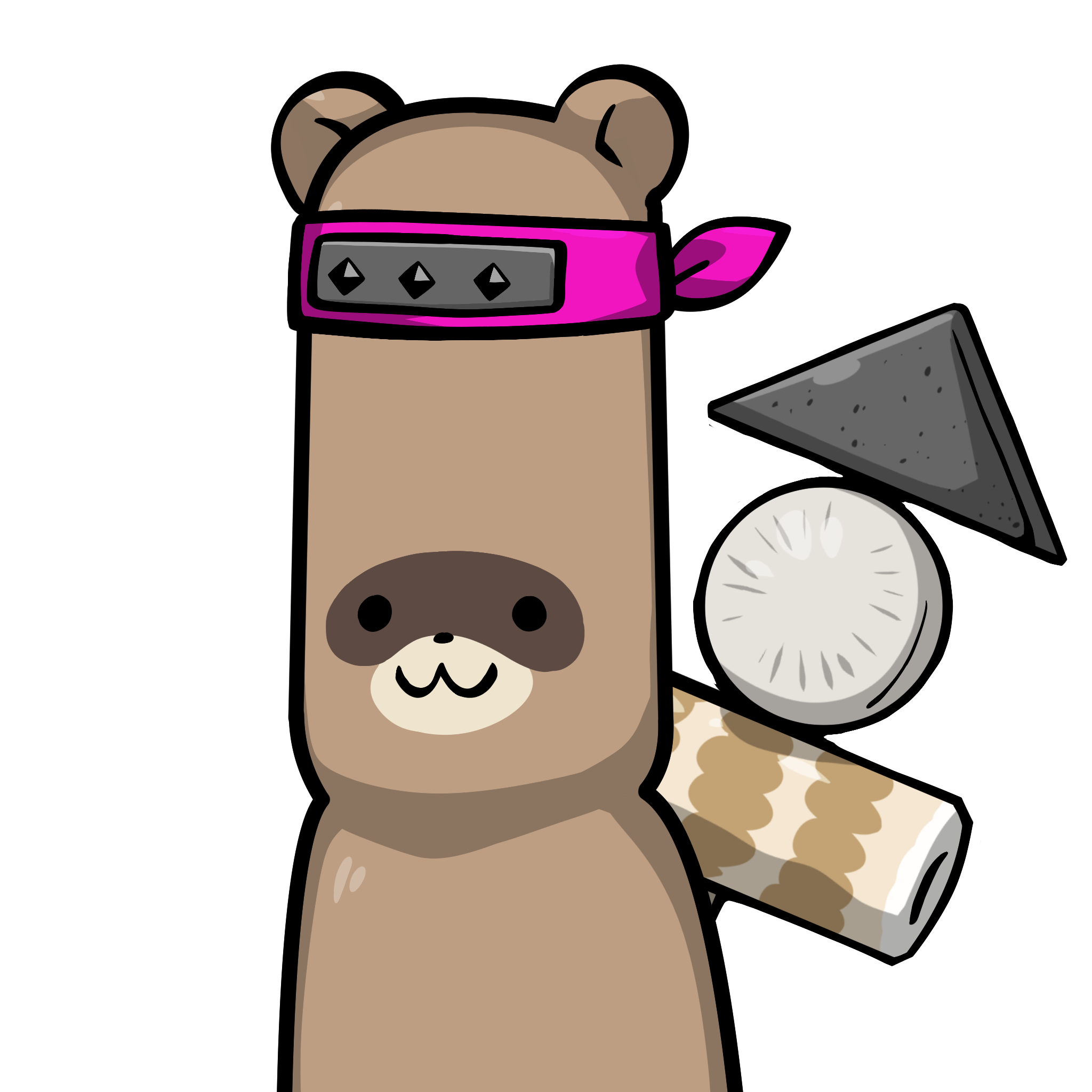 Raccoon-Origin #03390