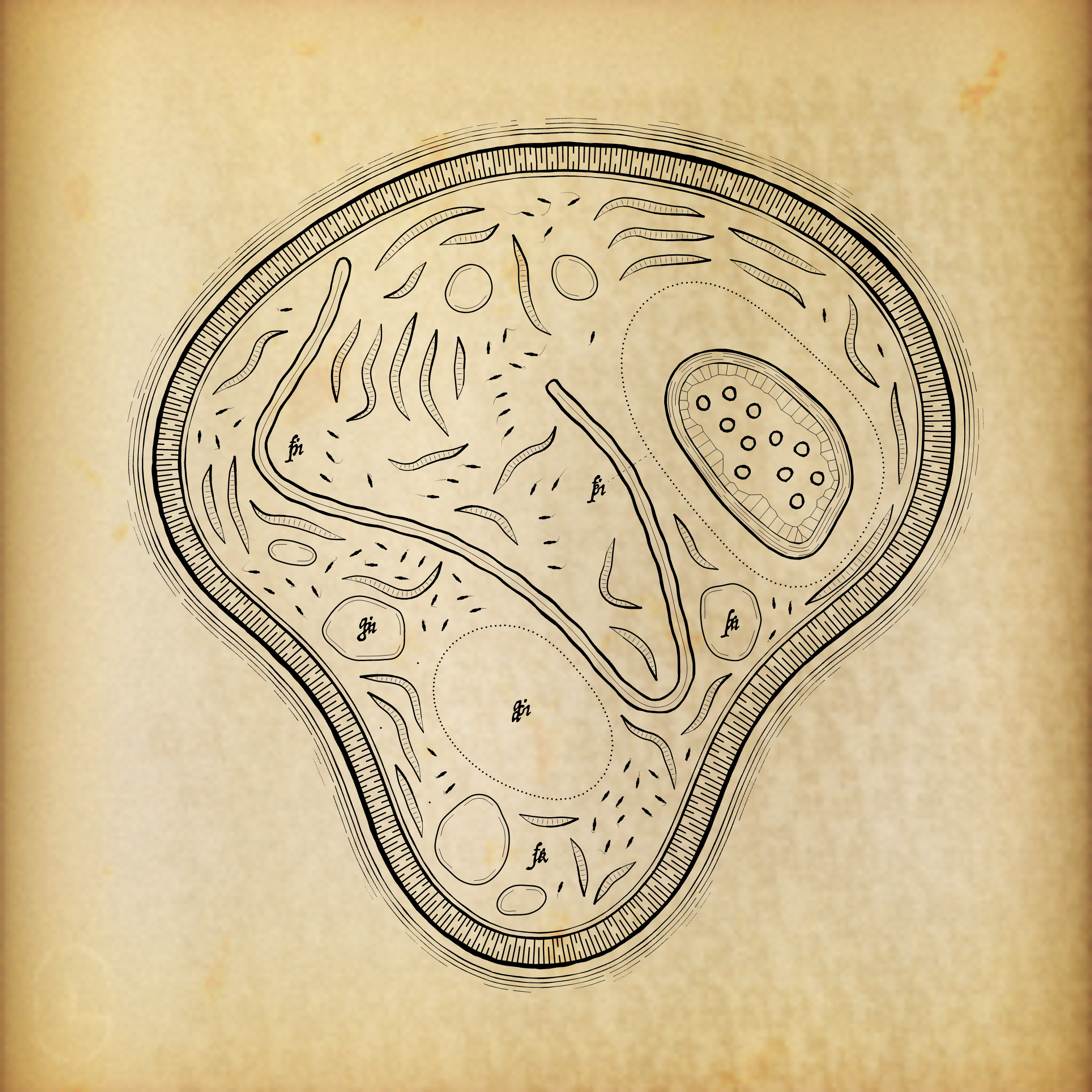 Cytographia #225
