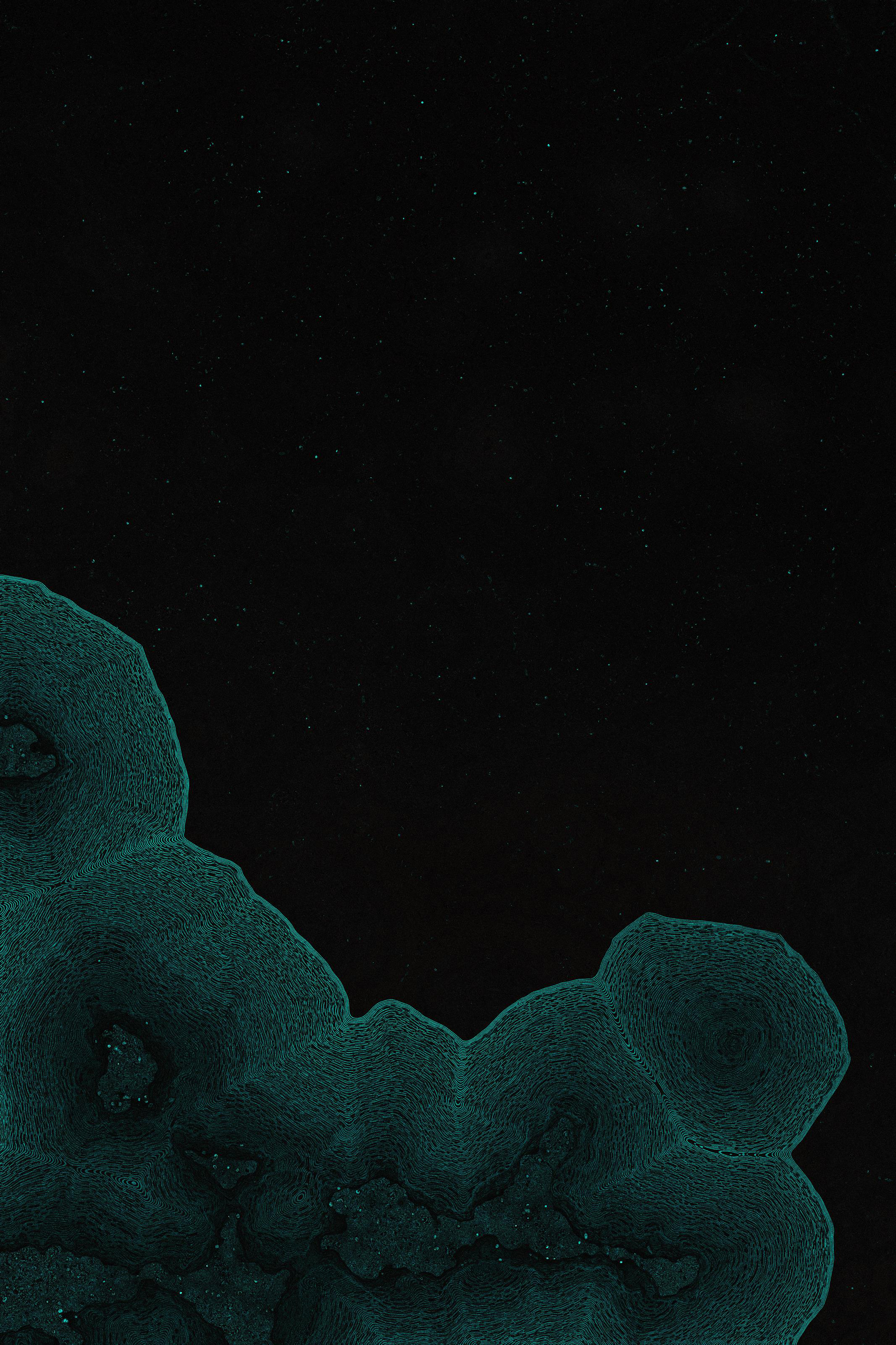 Dactylogram #98