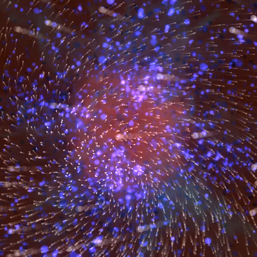 Cosmic Bloom #479