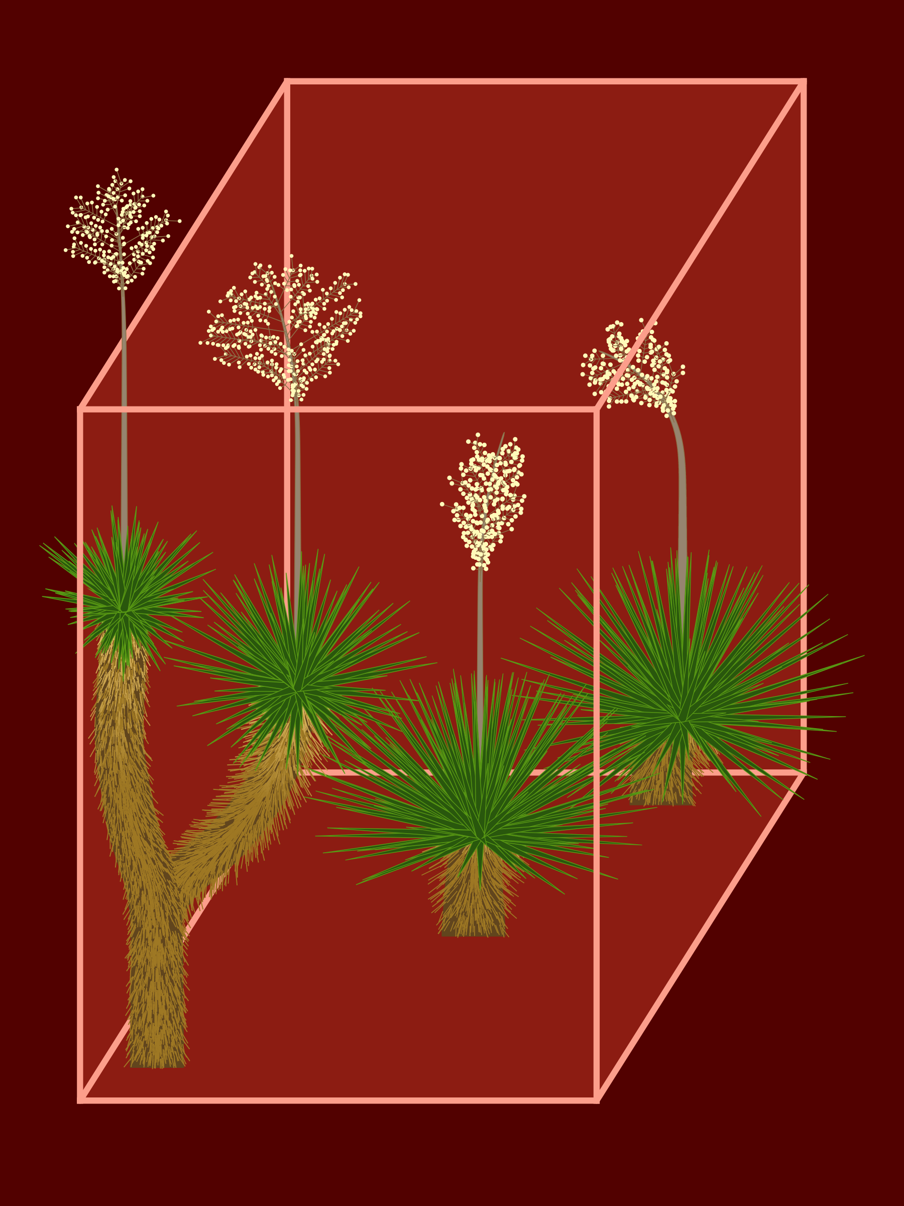 Marfa Yucca #235