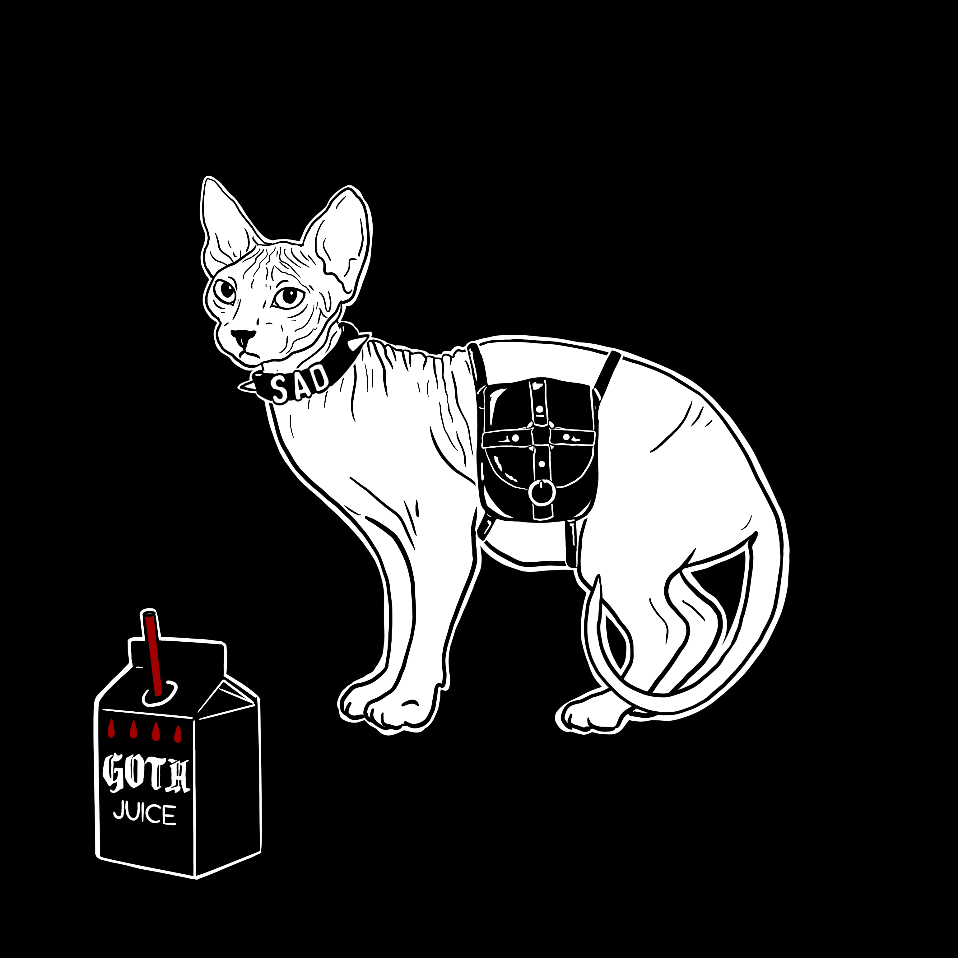 The Sad Cat #5716