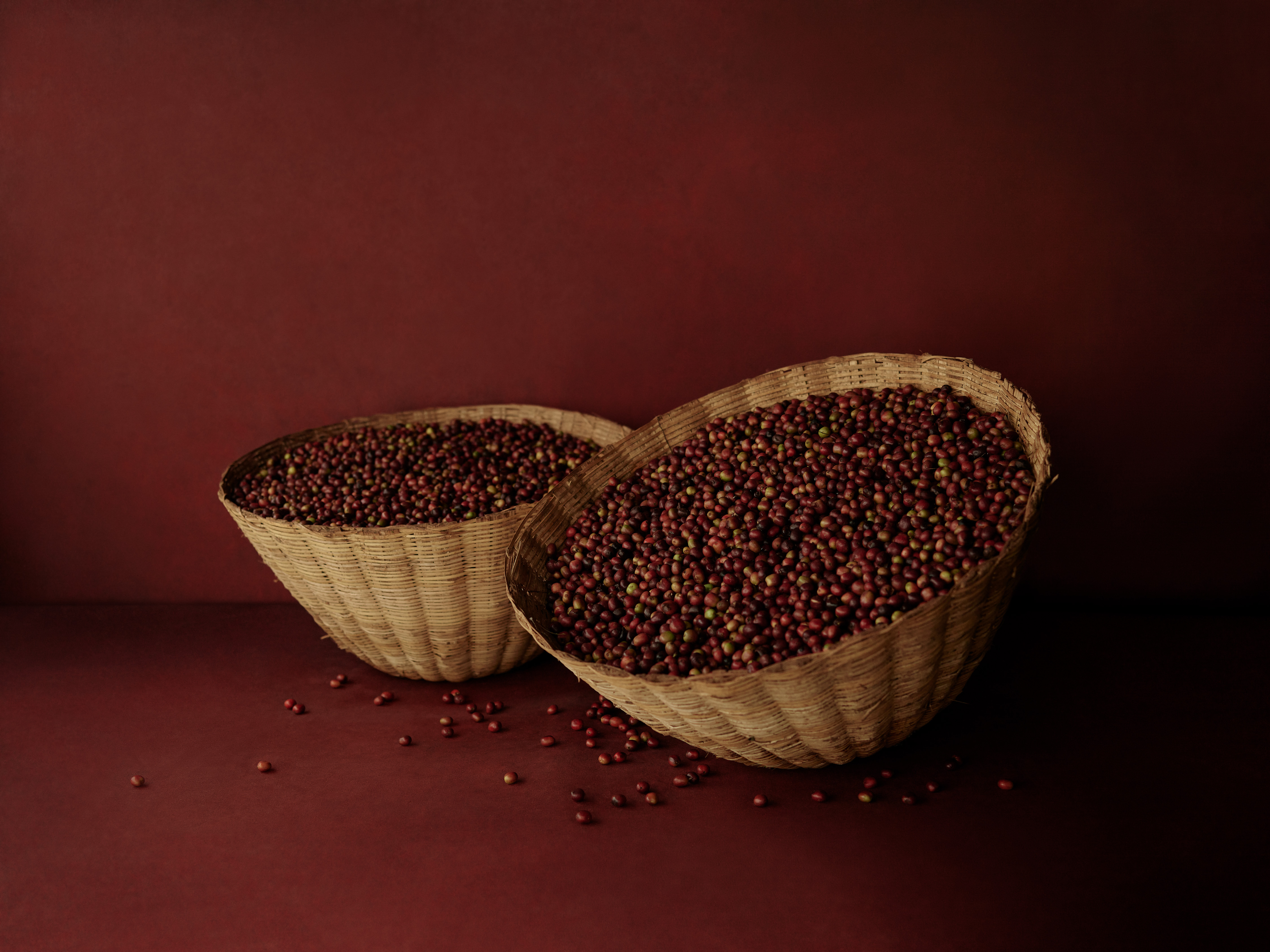 Ethiopia - Portraits - Baskets of freshly harvested coffee cherries 