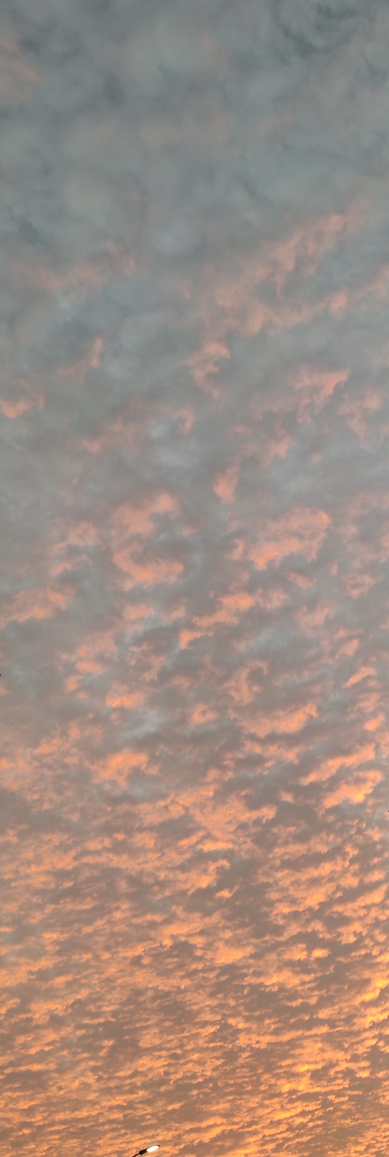 sky